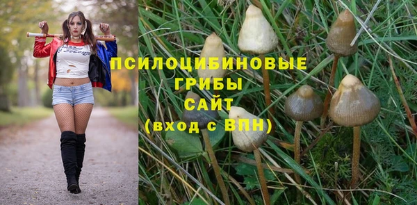 spice Богданович