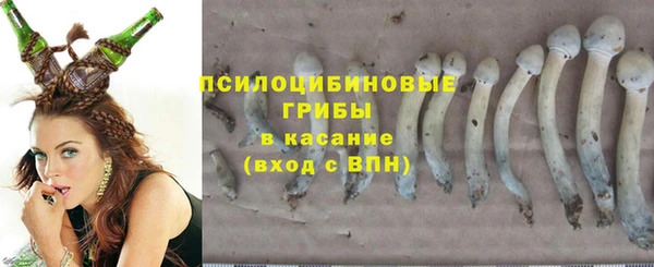 МДПВ Богородицк