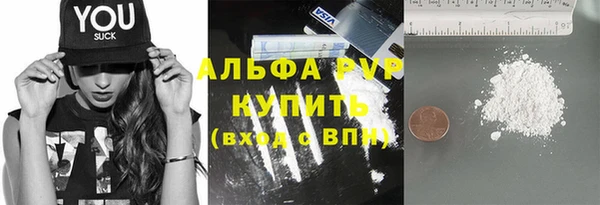 spice Богданович