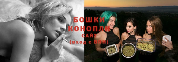 spice Богданович