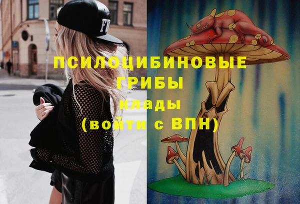 spice Богданович