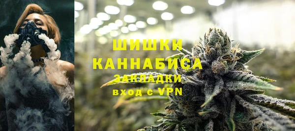 spice Богданович