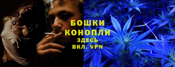 spice Богданович