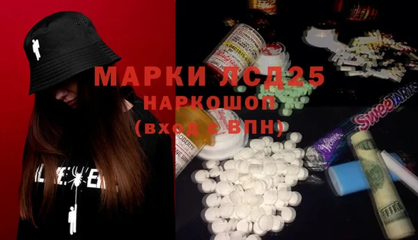 spice Богданович